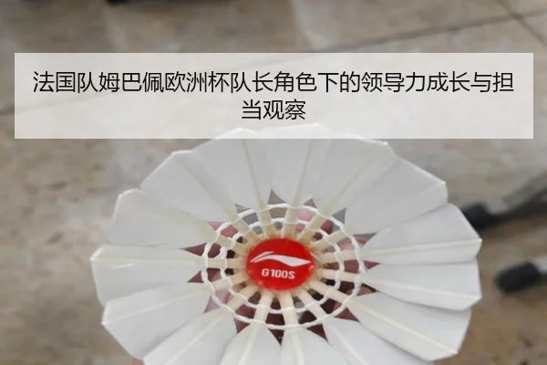 法国队姆巴佩欧洲杯队长角色下的领导力成长与担当观察（leyu）